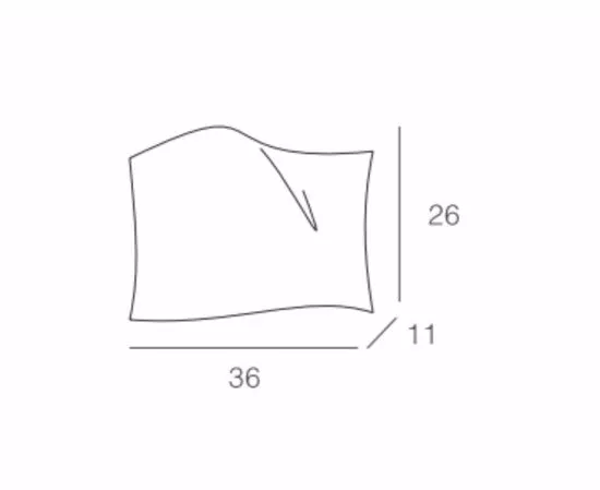 wing 36 scheda