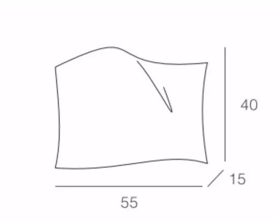 wing 55