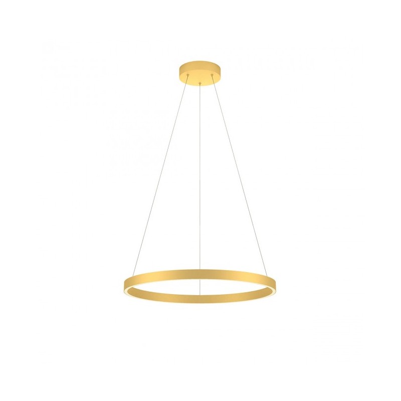 sosp febe 60 oro