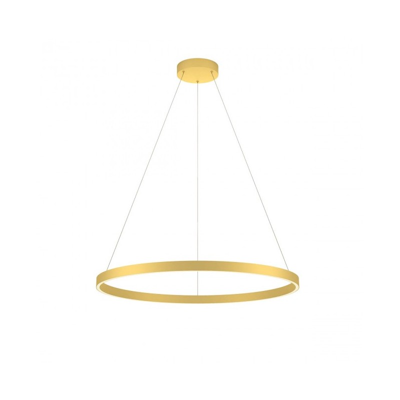 sosp febe 80 oro