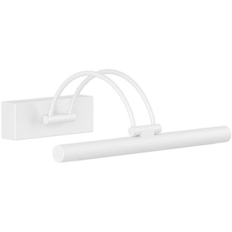 appl ikon bianco 29