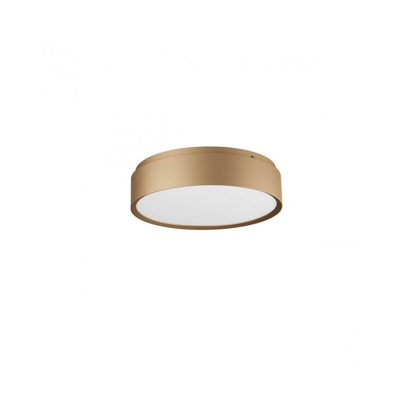 plaf yomo t 26 oro
