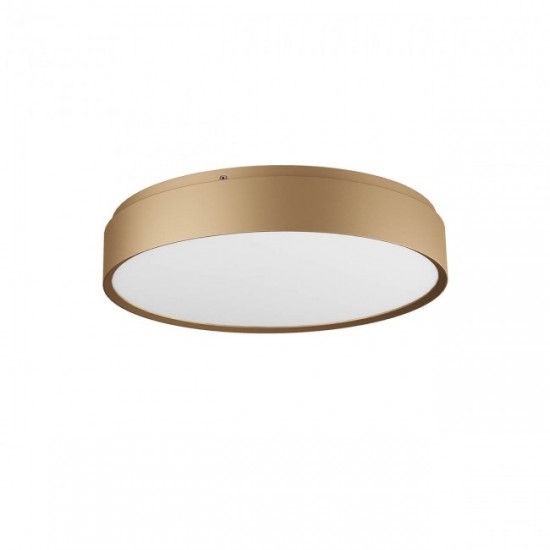 plaf yomo t 36 oro