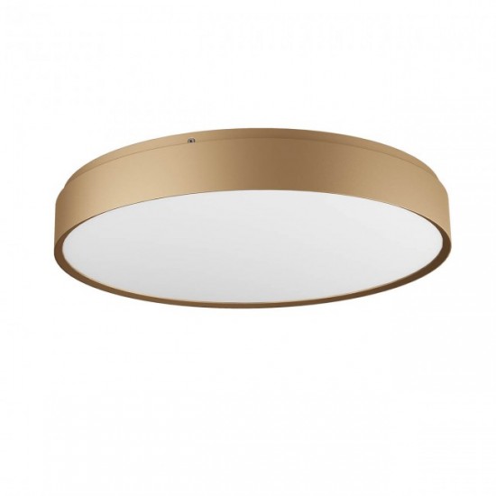 plaf yomo t 46 oro