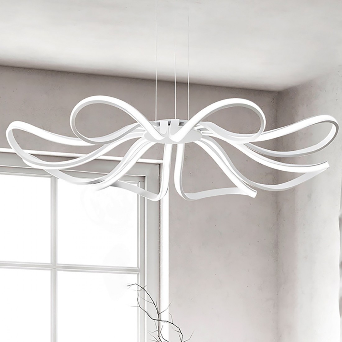 lamp blossom